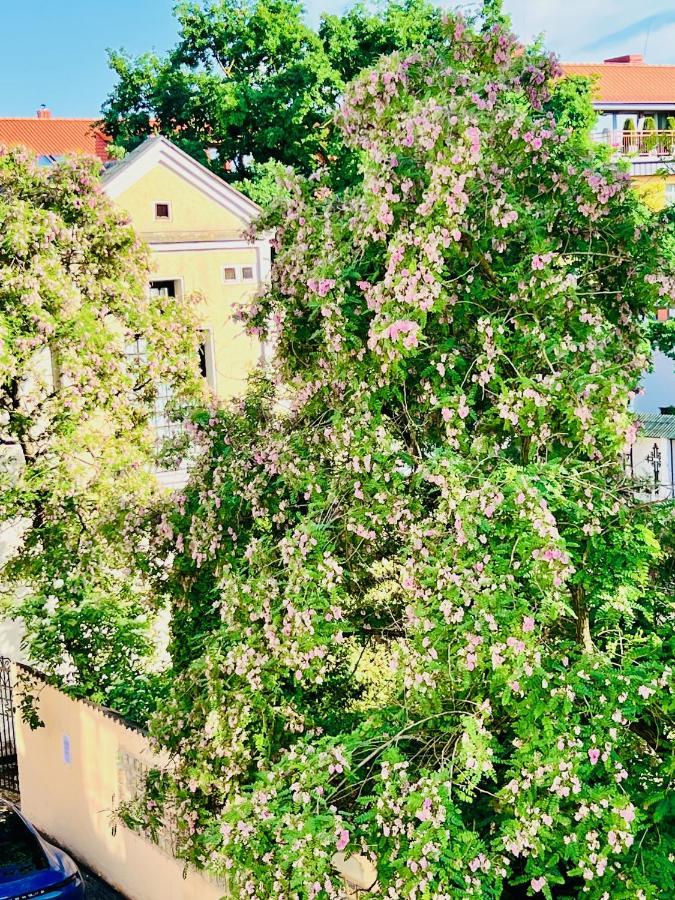 Super Apartment Old Town Клайпеда Экстерьер фото